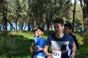 ΑΝΔΡΕΟΣΟΠΟΥΛΟΣ ΑΓΓΕΛΟΣ