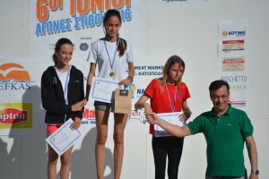 ΑΠΟΝΟΜΗ ΑΛΜΑ ΣΕ ΥΨΟΣ ΠΚΒ